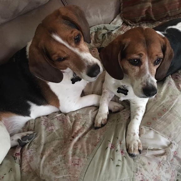 Meet your Posher, Shane - Picture 1 of 1